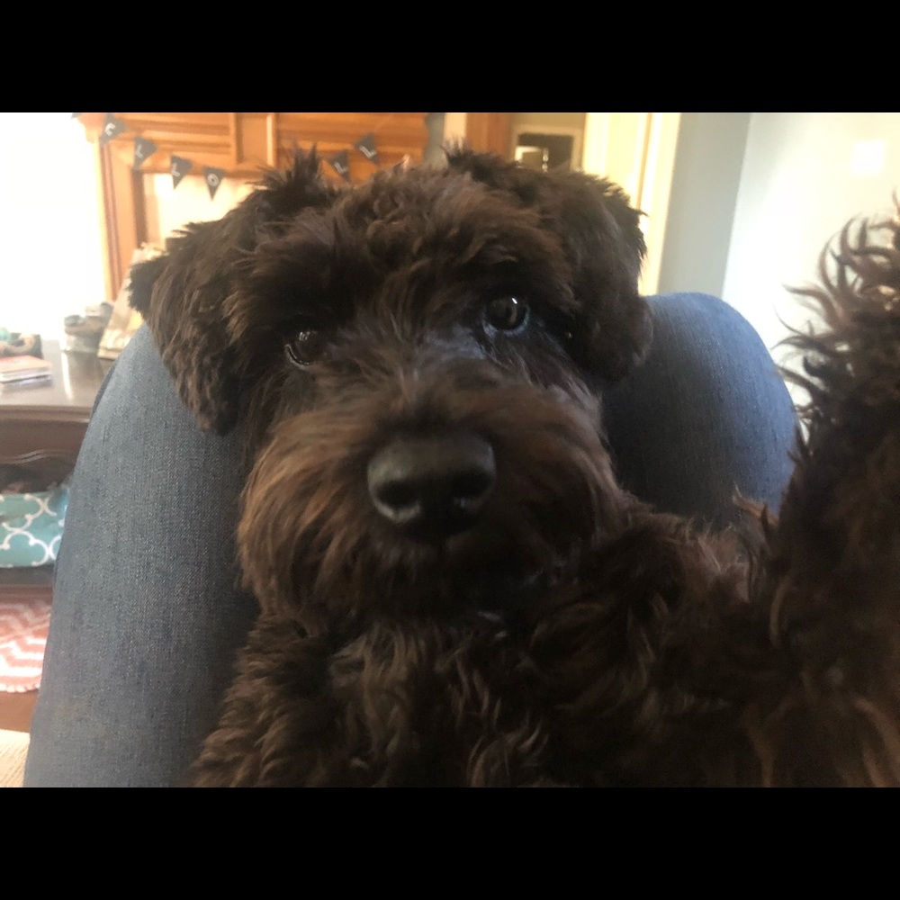 Meet your Posher, Sstephanie